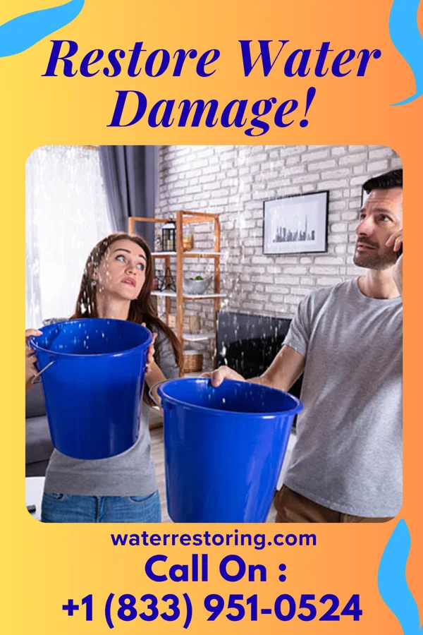 water restoration Ultimate Flood Mitigation Network Dalton