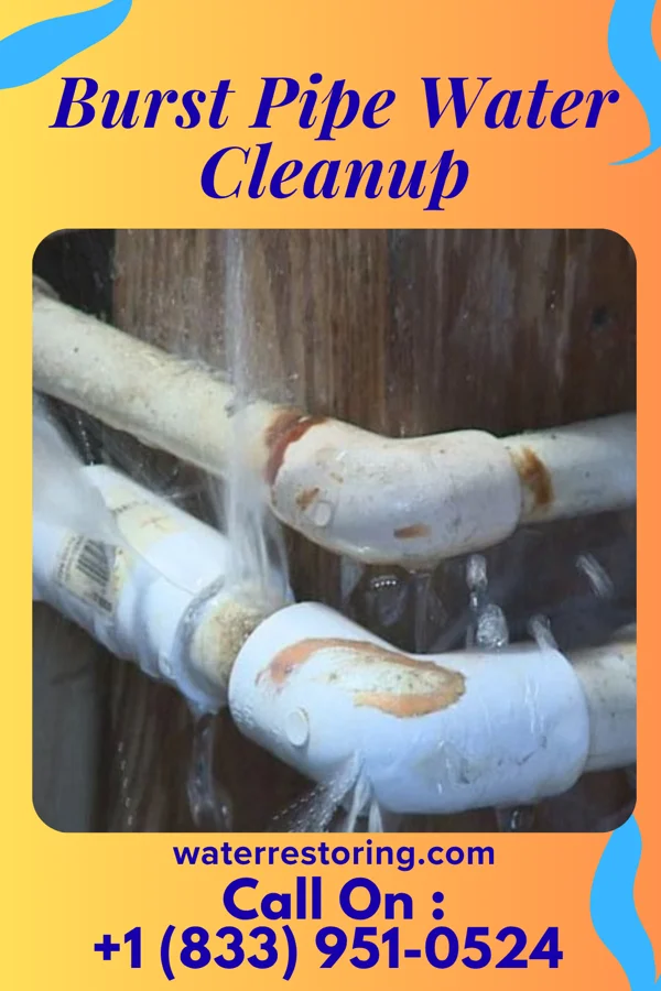 Burst Pipe Water Cleanup in Dalton, OH