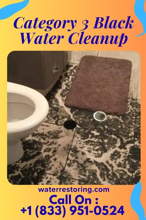 Category 3 Black Water Cleanup in Dalton, OH