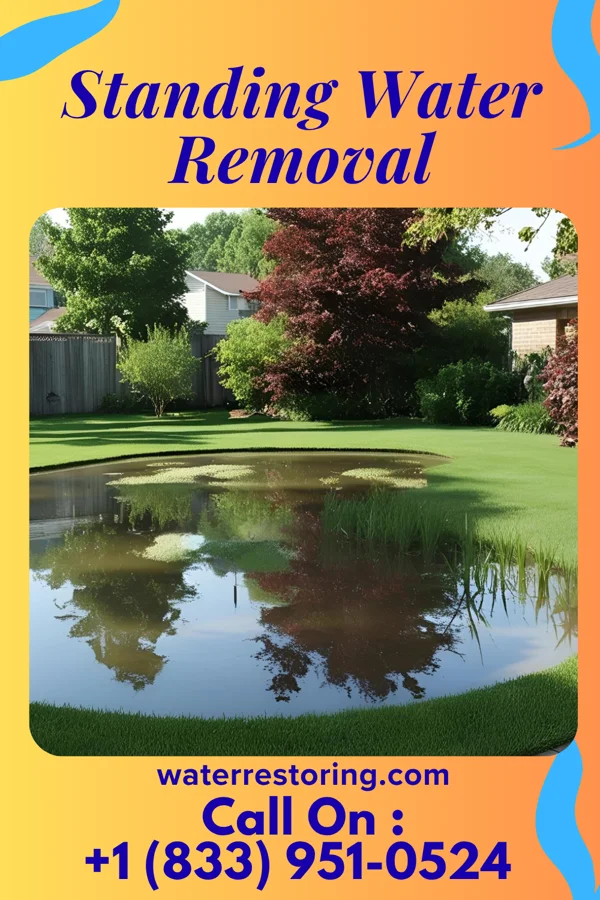 Standing Water Removal in Dalton, OH